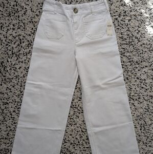 Anthropologie Maeve Collette Wide Leg (27)